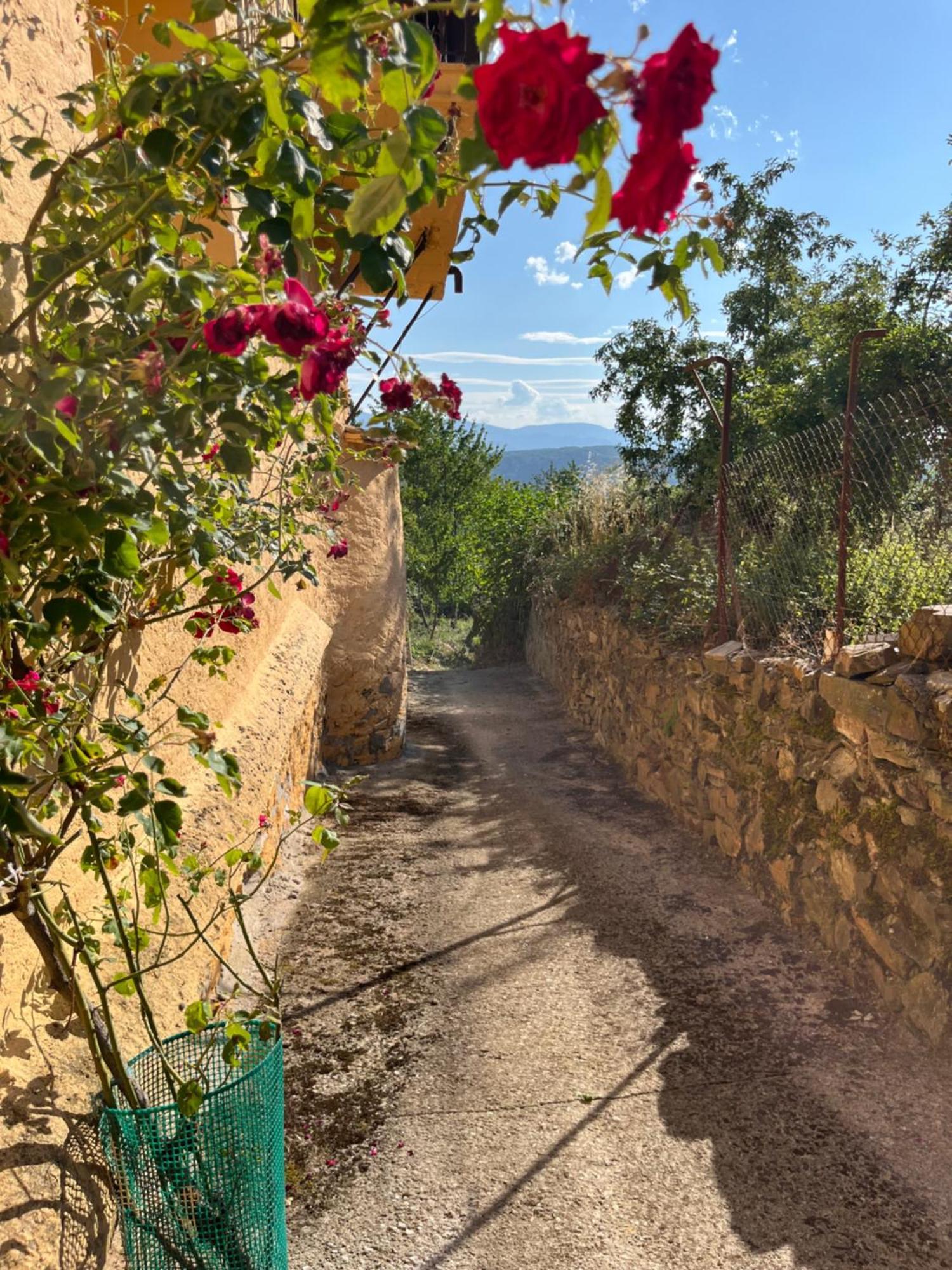 La Casina De Gelo Villa Riego de Ambros Eksteriør billede